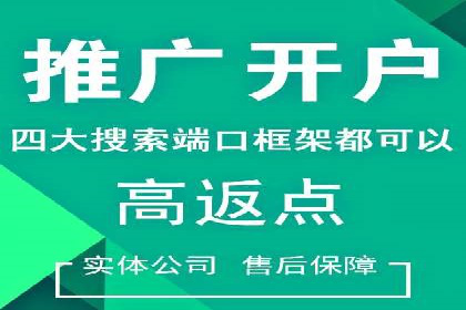 百度竞价排名服务：实战案例解析与优化技巧